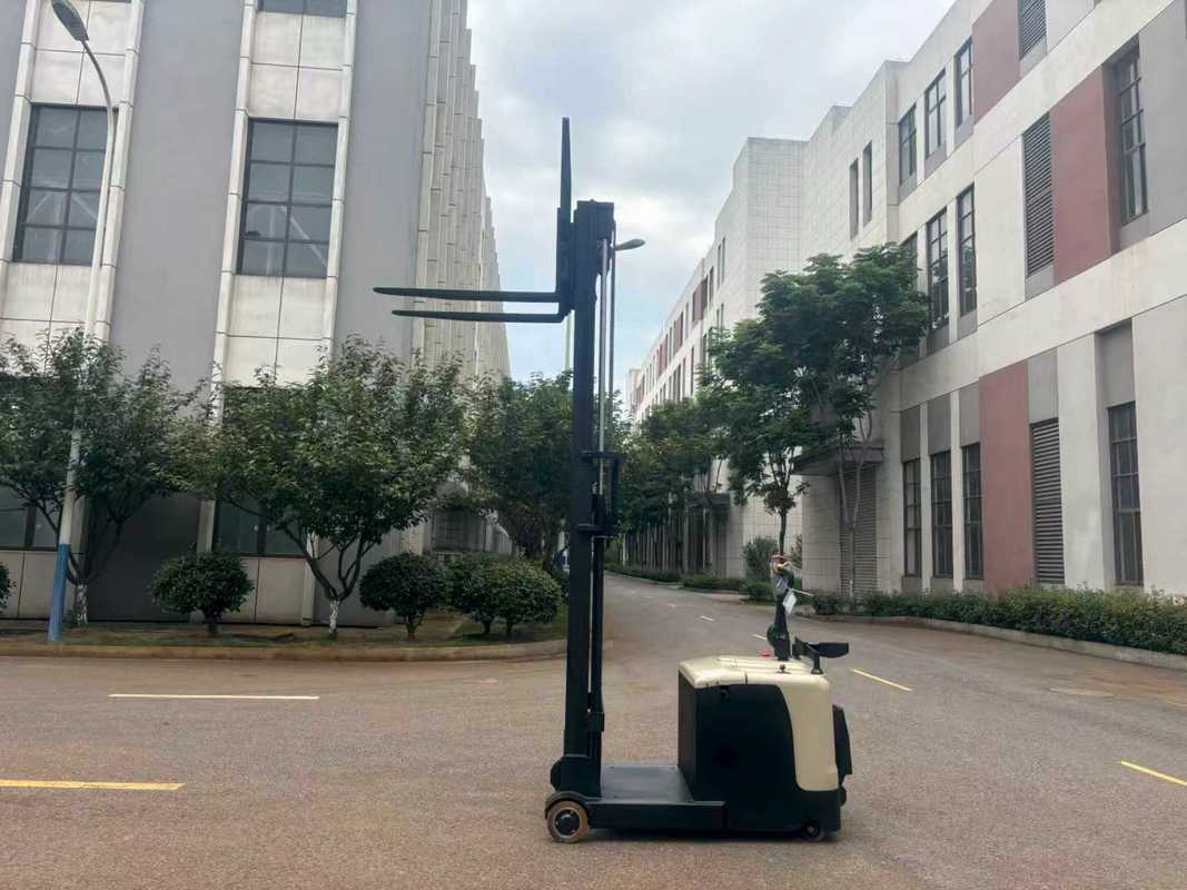 2 Tons Electric Counterbalance Forklift Truck Non- Standard Custom-made Standing Style